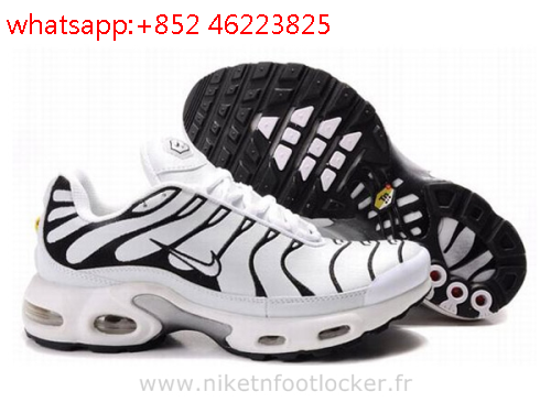 chaussure requin pas cher